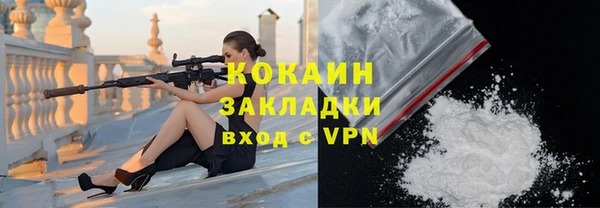 трава Бородино