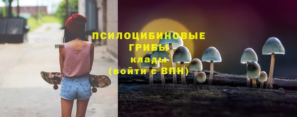трава Бородино