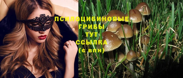 прущая мука Бугульма