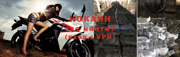 трава Бородино
