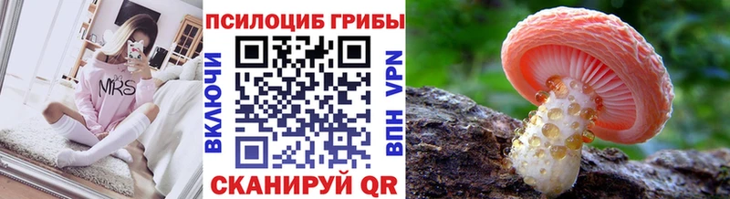 гидра   Махачкала  Псилоцибиновые грибы мицелий  где купить  